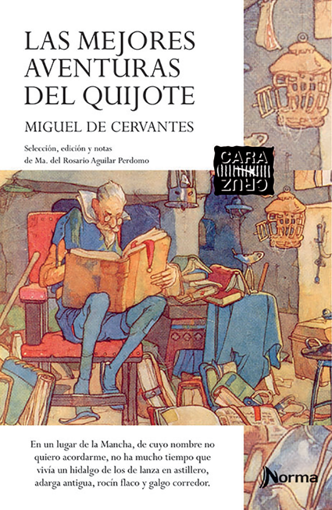 Imagen de LAS MEJORES AVENTURAS DEL QUIJOTE